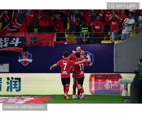 成都蓉城签下荷兰国脚中卫莱切特期待间歇期后首发亮相